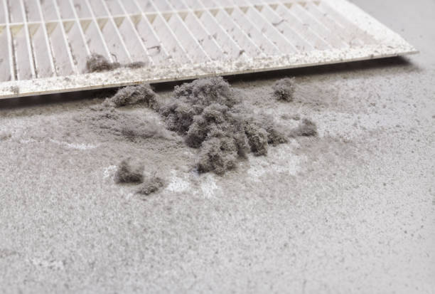 Best Duct Cleaning for Offices  in Richmond, IL